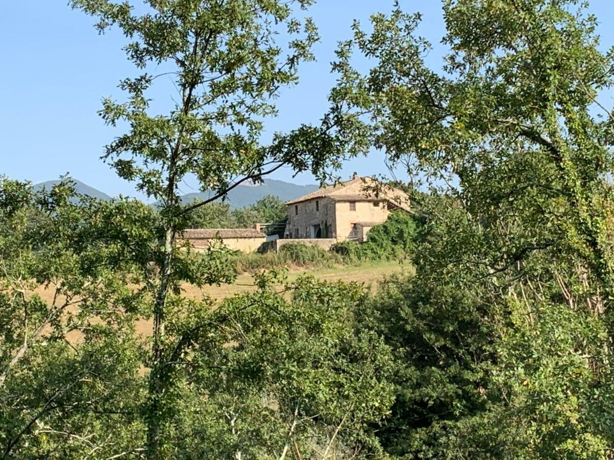 Casale Al Lago Con Piscina E Sauna Corbara  Exterior photo