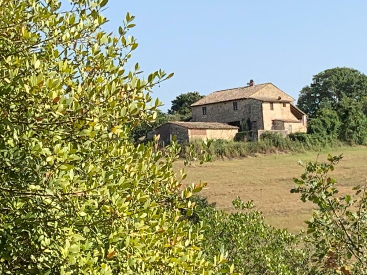 Casale Al Lago Con Piscina E Sauna Corbara  Exterior photo