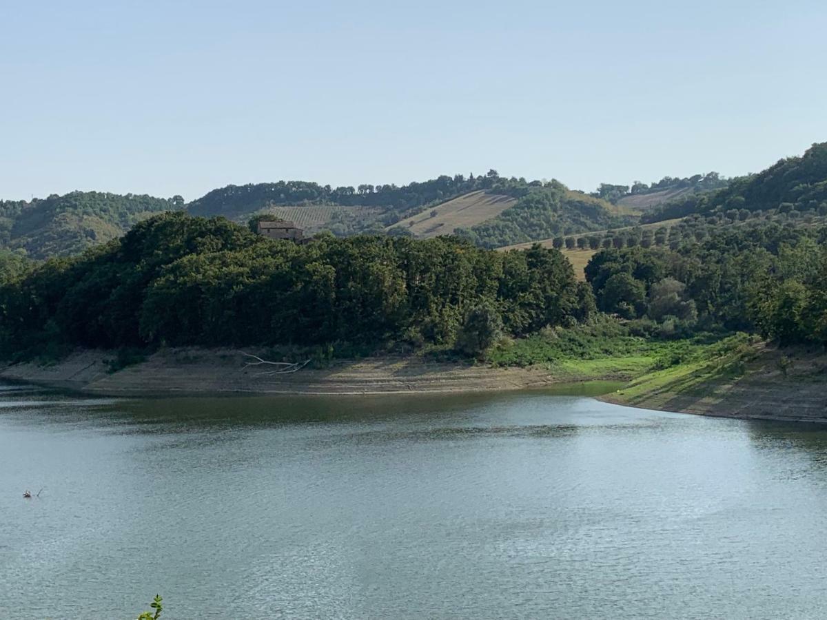 Casale Al Lago Con Piscina E Sauna Corbara  Exterior photo